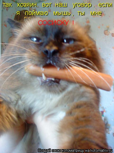 Котоматрица: так   хозяин.  вот  наш   уговор .  если     я   поймаю   мышь ,  ты   мне         СОСИСКУ  !