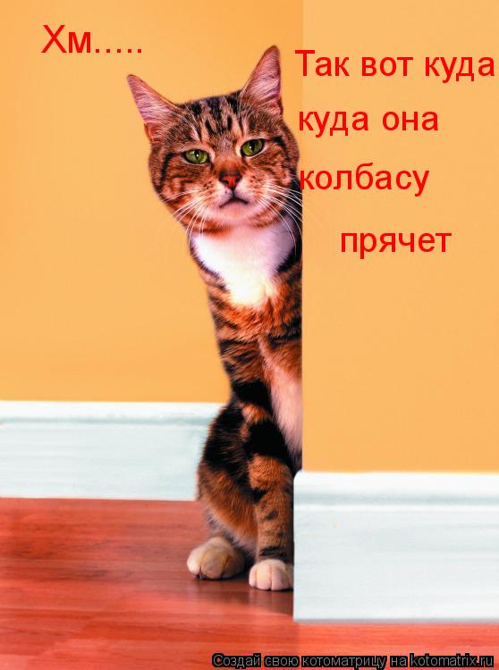 Хм..... Так вот куда куда она колбасу прячет... Котоматрица: Хм..... Так вот куда куда она колбасу прячет
