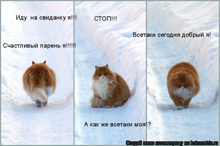 Иду на свиданку я!!! Счастливый парень я!!!!! А как же всетаки моя!? СТОП!!! Всетаки сегодня добрый ... Котоматрица: Иду на свиданку я!!! Счастливый парень я!!!!! А как же всетаки моя!? СТОП!!! Всетаки сегодня добрый я!