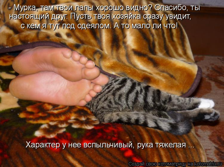 - Мурка, там твои лапы хорошо видно? Спасибо, ты с кем я тут под одеялом. А то мало ли что! Характер ... Котоматрица: - Мурка, там твои лапы хорошо видно? Спасибо, ты с кем я тут под одеялом. А то мало ли что! Характер у нее вспыльчивый, рука тяжелая ... настоящий