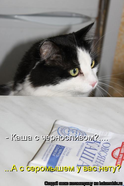 - Каша с черносливом?.... ...А с серомышем у вас нету?... Котоматрица: - Каша с черносливом?.... ...А с серомышем у вас нету?