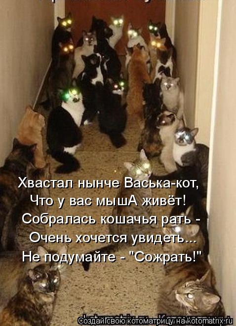 Хвастал нынче Васька-кот, Что у вас мышА живёт! Собралась кошачья рать - Очень хочется увидеть... Не ... Котоматрица: Хвастал нынче Васька-кот, Что у вас мышА живёт! Собралась кошачья рать - Очень хочется увидеть... Не подумайте - "Сожрать!"