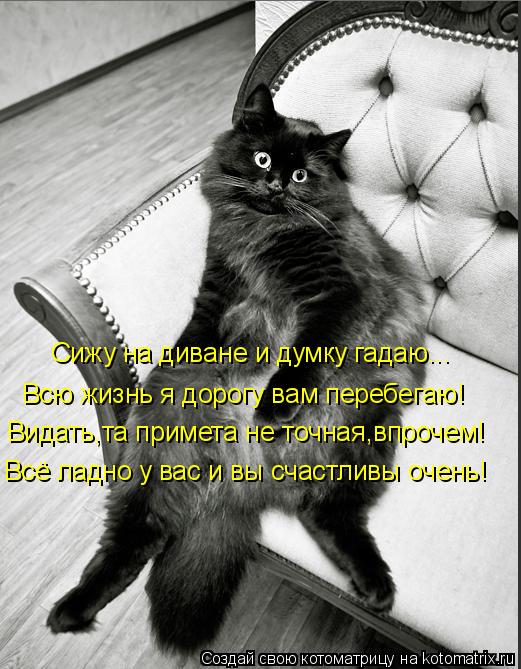 Сижу на диване и думку гадаю... Всю жизнь я дорогу вам перебегаю! Видать,та примета не точная,впрочем... Котоматрица: Сижу на диване и думку гадаю... Всю жизнь я дорогу вам перебегаю! Видать,та примета не точная,впрочем! Всё ладно у вас и вы счастливы очень!