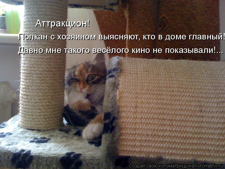 Аттракцион! Полкан с хозяином выясняют, кто в доме главный! Давно мне такого весёлого кино не показы... Котоматрица: Аттракцион! Полкан с хозяином выясняют, кто в доме главный! Давно мне такого весёлого кино не показывали!...