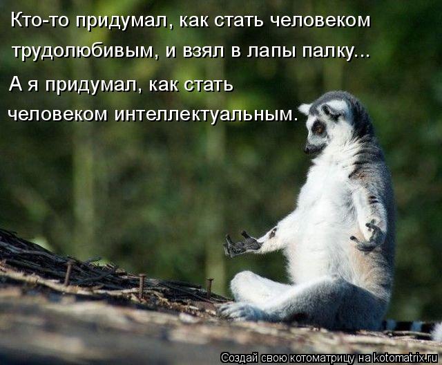 Котоматрица: трудолюбивым, и взял в лапы палку... Кто-то придумал, как стать человеком человеком интеллектуальным. А я придумал, как стать