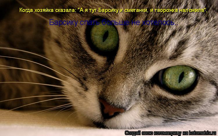 Когда хозяйка сказала: "А я тут Барсику и сметанки, и творожка наложила", Барсику спать больше не хот... Котоматрица: Когда хозяйка сказала: "А я тут Барсику и сметанки, и творожка наложила", Барсику спать больше не хотелось..