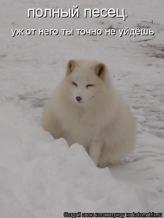 полный песец. уж от него ты точно не уйдёшь... Котоматрица: полный песец. уж от него ты точно не уйдёшь