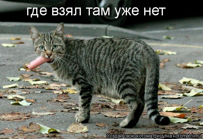 где взял там уже нет... Котоматрица: где взял там уже нет