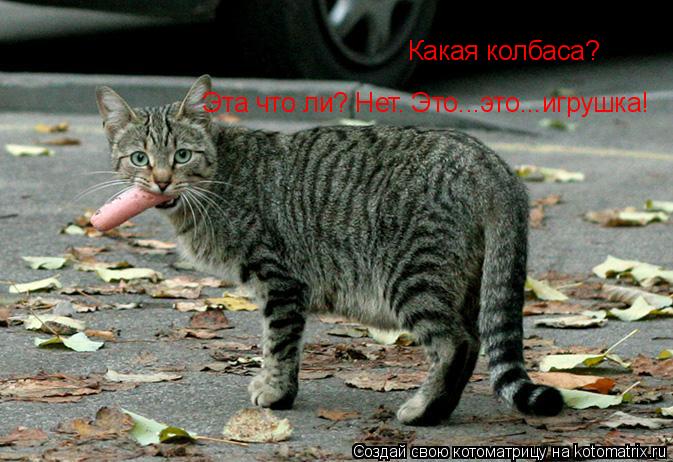 Какая колбаса? Эта что ли? Нет. Это...это...игрушка!... Котоматрица: Какая колбаса? Эта что ли? Нет. Это...это...игрушка!