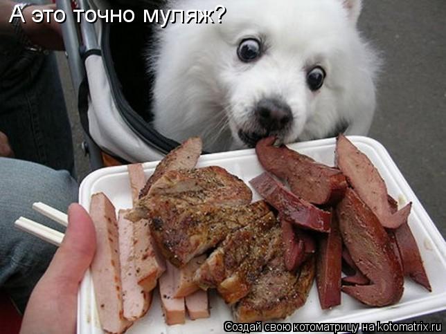 А это точно муляж?... Котоматрица: А это точно муляж?