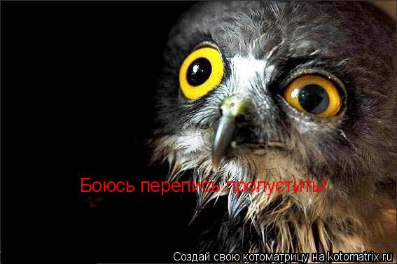 Боюсь перепись пропустить!... Котоматрица: Боюсь перепись пропустить!
