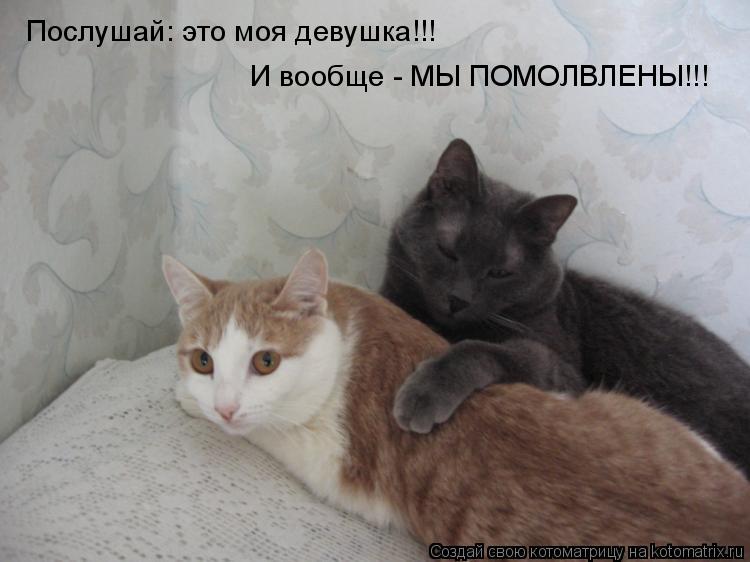 Послушай: это моя девушка!!! И вообще - МЫ ПОМОЛВЛЕНЫ!!!... Котоматрица: Послушай: это моя девушка!!! И вообще - МЫ ПОМОЛВЛЕНЫ!!!