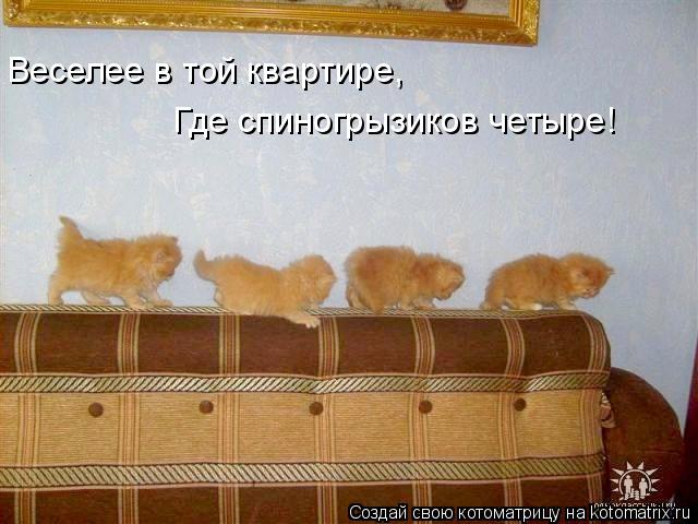 Веселее в той квартире, Где спиногрызиков четыре!... Котоматрица: Веселее в той квартире, Где спиногрызиков четыре!