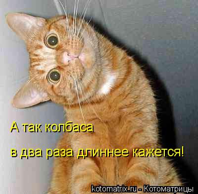 А так колбаса в два раза длиннее кажется!... Котоматрица: А так колбаса в два раза длиннее кажется!
