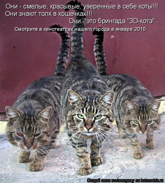 Они - смелые, красывые, уверенные в себе коты!!! Они знают толк в кошечках!!! Они - это брингада "3D-... Котоматрица: Они - смелые, красывые, уверенные в себе коты!!! Они знают толк в кошечках!!! Они - это брингада "3D-котэ" Смотрите в кинотеатрах нашего города в я