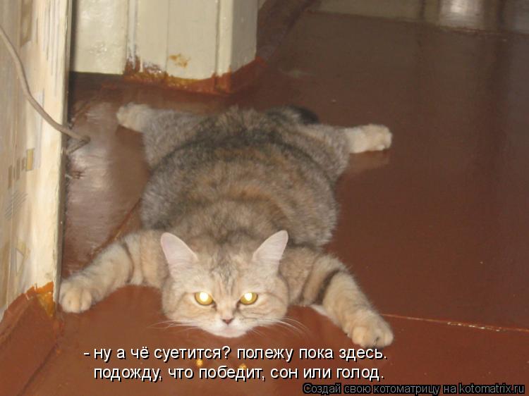Котоматрица: - ну а чё суетится? полежу пока здесь. подожду, что победит, сон или голод.