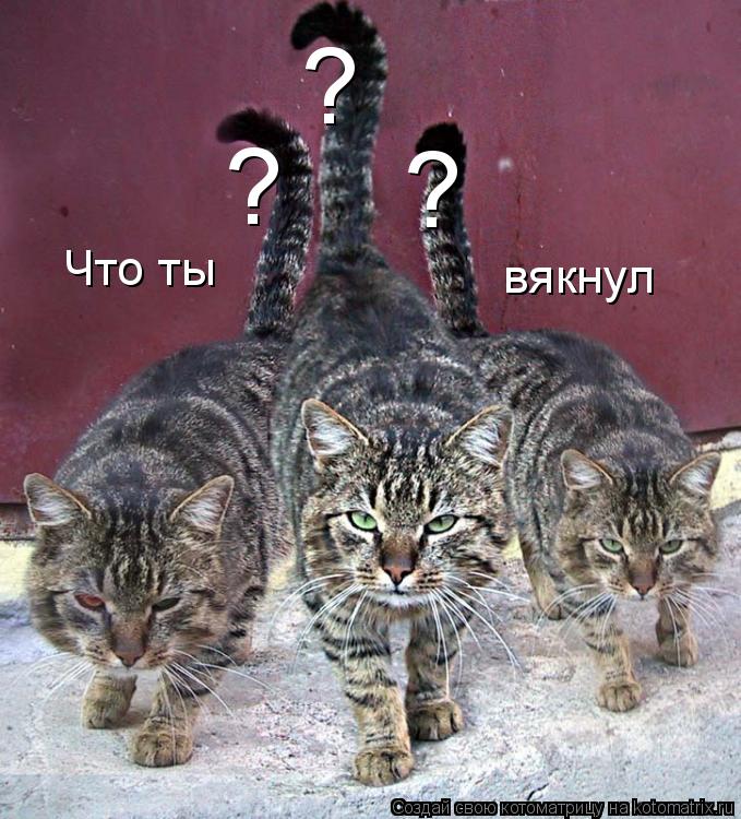 Что ты вякнул ? ? ?... Котоматрица: Что ты вякнул ? ? ?
