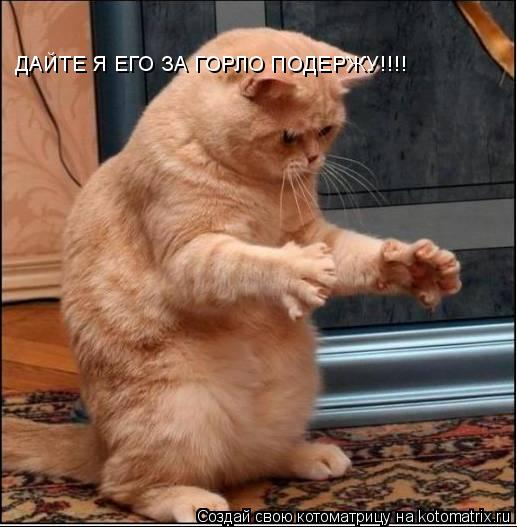 ДАЙТЕ Я ЕГО ЗА ГОРЛО ПОДЕРЖУ!!!!... Котоматрица: ДАЙТЕ Я ЕГО ЗА ГОРЛО ПОДЕРЖУ!!!!