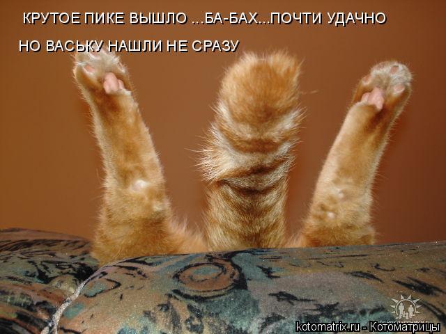 КРУТОЕ ПИКЕ ВЫШЛО ...БА-БАХ...ПОЧТИ УДАЧНО НО ВАСЬКУ НАШЛИ НЕ СРАЗУ... Котоматрица: КРУТОЕ ПИКЕ ВЫШЛО ...БА-БАХ...ПОЧТИ УДАЧНО НО ВАСЬКУ НАШЛИ НЕ СРАЗУ