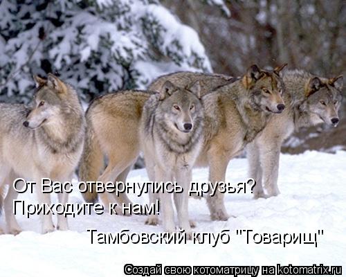 Котоматрица: От Вас отвернулись друзья? Приходите к нам! Тамбовский клуб "Товарищ"