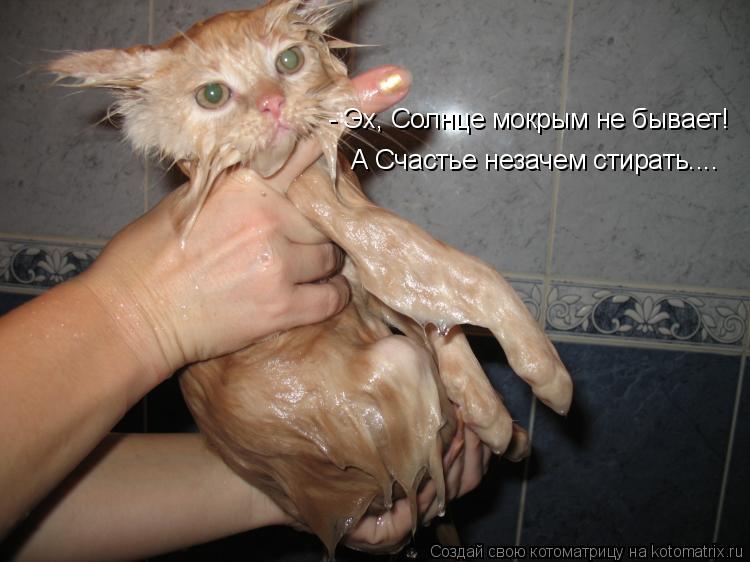 Котоматрица: - Эх, Солнце мокрым не бывает! А Счастье незачем стирать....