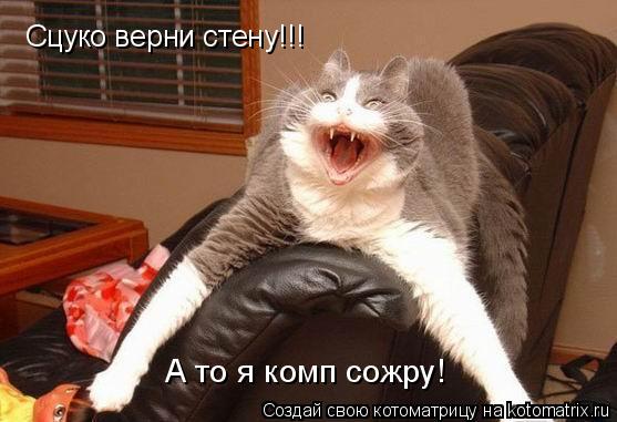 Котоматрица: Сцуко верни стену!!! А то я комп сожру!