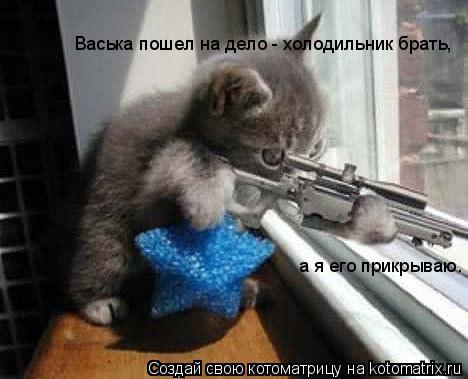 Котоматрица: Васька пошел на дело - холодильник брать, а я его прикрываю.