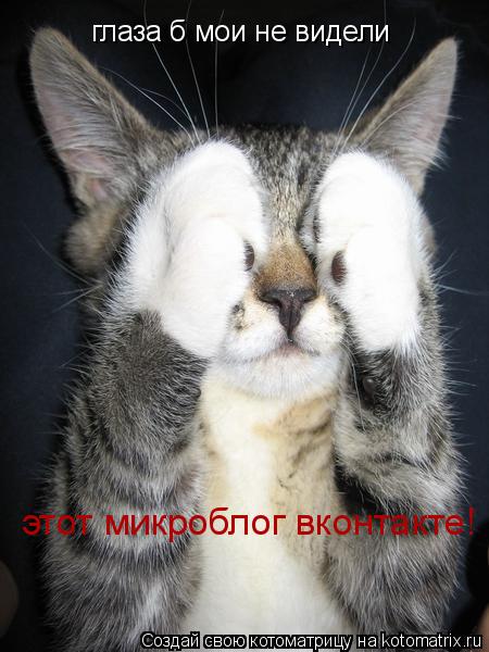 Котоматрица: глаза б мои не видели этот микроблог вконтакте!