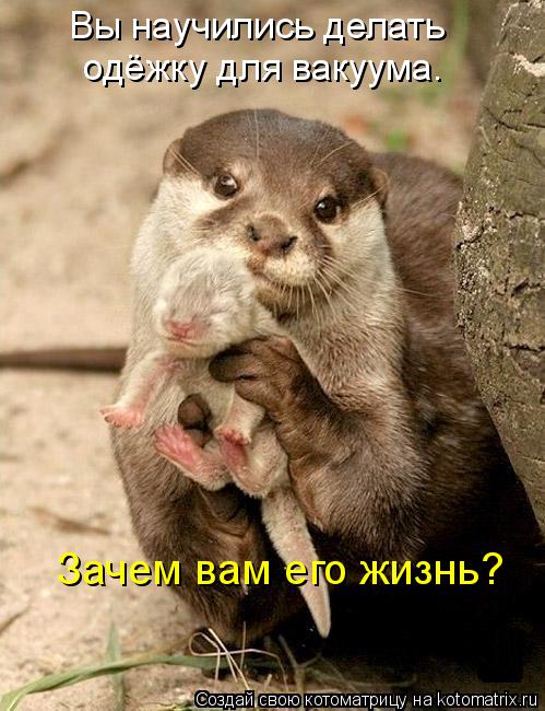 Вы научились делать одёжку для вакуума. Зачем вам его жизнь?... Котоматрица: Вы научились делать одёжку для вакуума. Зачем вам его жизнь?