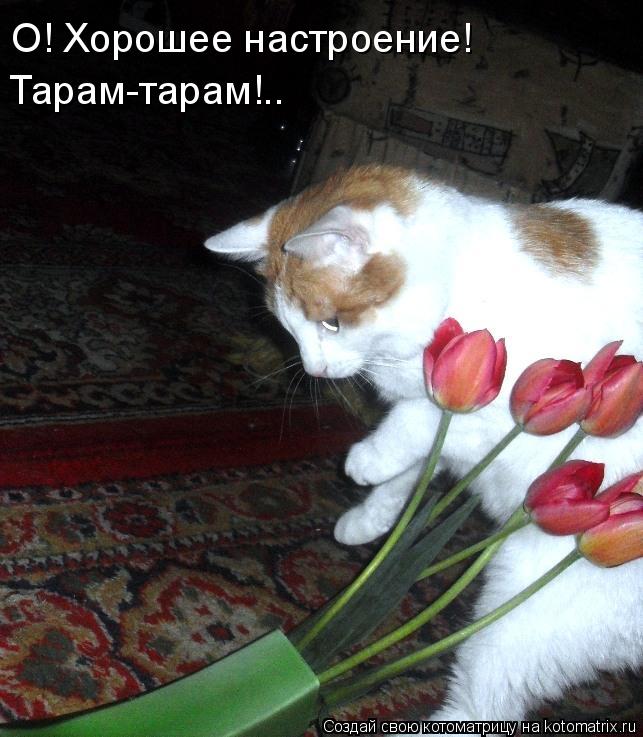 Котоматрица: О! Хорошее настроение! Тарам-тарам!..