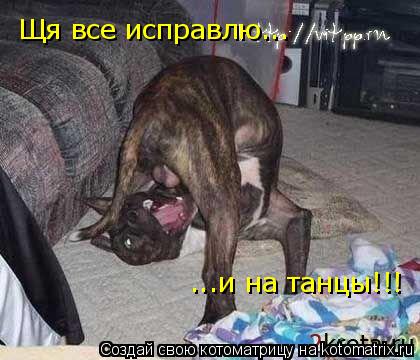 Котоматрица: Щя все исправлю... ...и на танцы!!!
