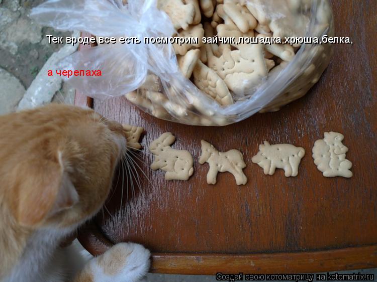 Тек вроде все есть посмотрим зайчик,лошадка,хрюша,белка, а черепаха... Котоматрица: Тек вроде все есть посмотрим зайчик,лошадка,хрюша,белка, а черепаха