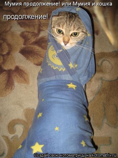 Котоматрица: Мумия продолжение! или Мумия и кошка  продолжение!