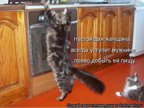 Котоматрица: Настоящая женщина  всегда уступит мужчине  право добыть ей пищу.