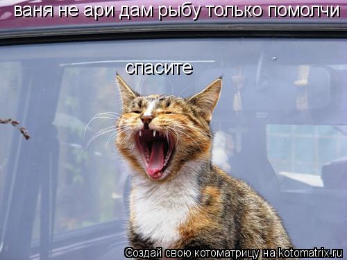 Котоматрица: спасите  ваня не ари дам рыбу только помолчи
