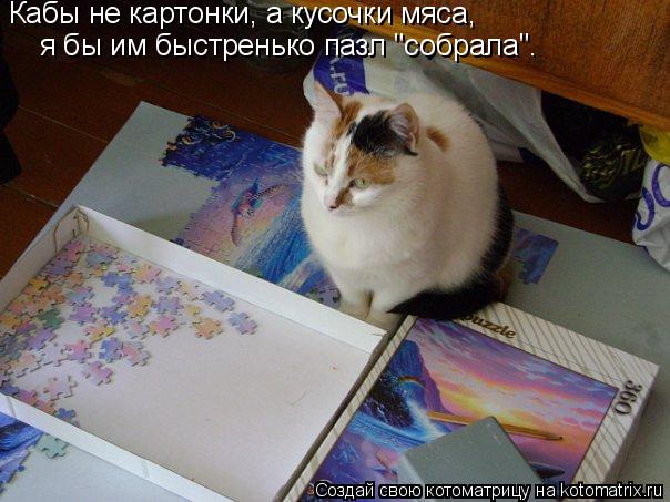 Котоматрица: Кабы не картонки, а кусочки мяса, я бы им быстренько пазл "собрала".