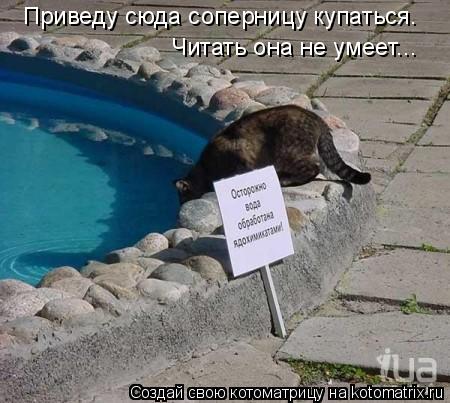 Котоматрица: Приведу сюда соперницу купаться. Читать она не умеет...