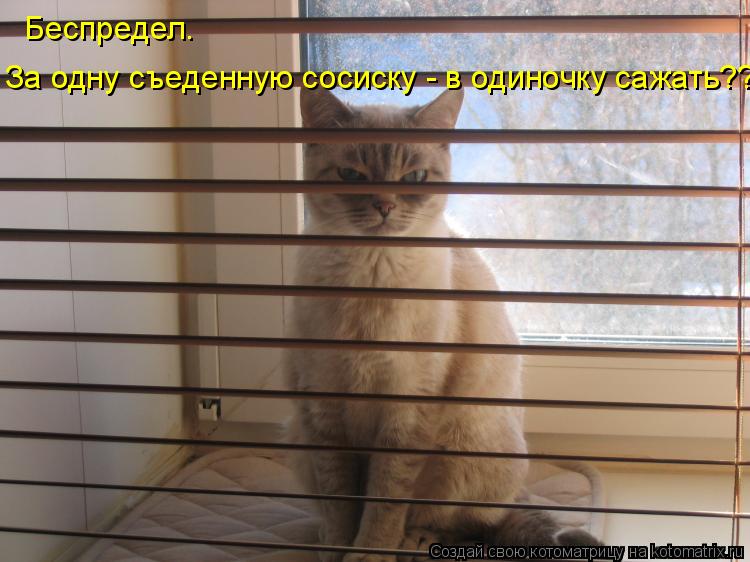 Котоматрица: Беспредел. За одну съеденную сосиску - в одиночку сажать??