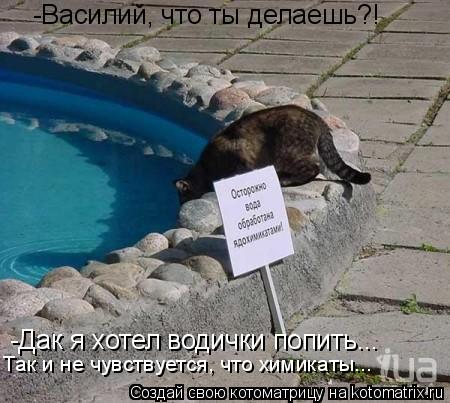 Котоматрица: -Василий, что ты делаешь?!  -Дак я хотел водички попить...  Так и не чувствуется, что химикаты...