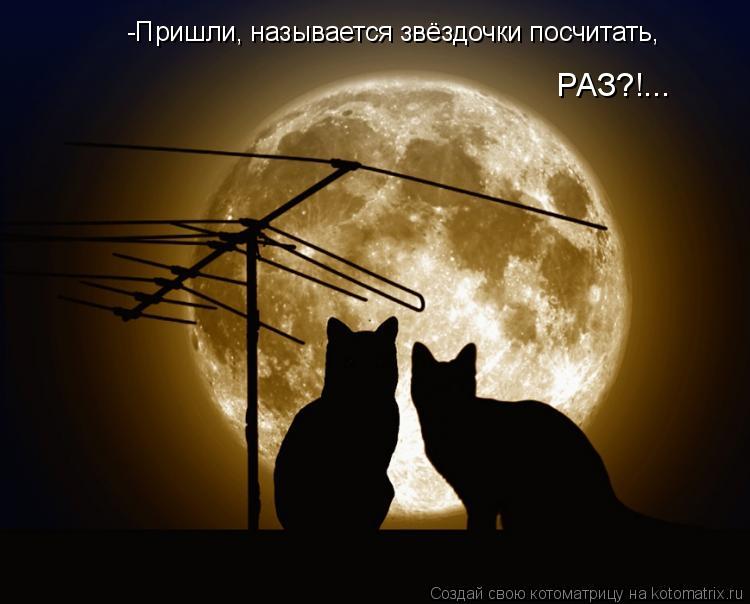 Котоматрица: -Пришли, называется звёздочки посчитать,   РАЗ?!...