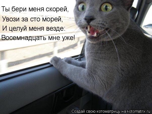 Котоматрица: Ты бери меня скорей, Увози за сто морей, И целуй меня везде: Восемнадцать мне уже!