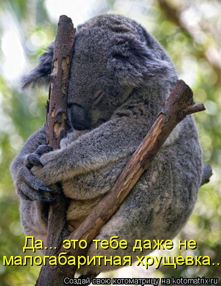 Котоматрица: Да... это тебе даже не  малогабаритная хрущевка...