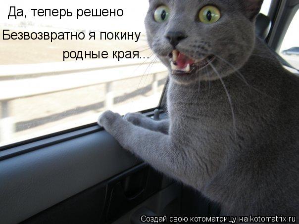 Котоматрица: Да, теперь решено  Безвозвратно я покину родные края...