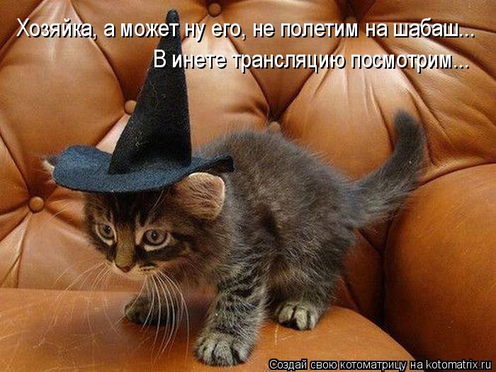 Котоматрица: Хозяйка, а может ну его, не полетим на шабаш... В инете трансляцию посмотрим...