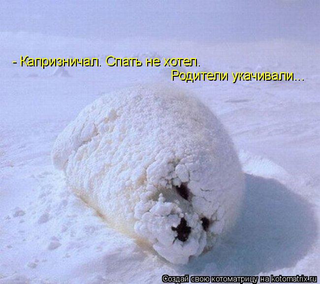 Котоматрица: - Капризничал. Спать не хотел. Родители укачивали...