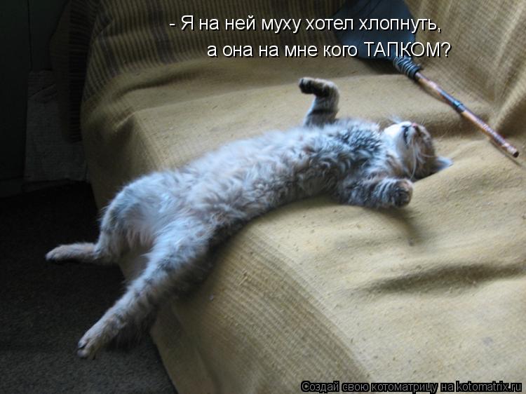 Котоматрица: - Я на ней муху хотел хлопнуть,  а она на мне кого ТАПКОМ?