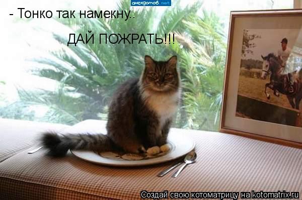 Котоматрица: - Тонко так намекну.. ДАЙ ПОЖРАТЬ!!!