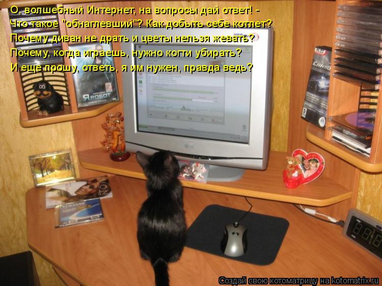 Котоматрица: О, волшебный Интернет, на вопросы дай ответ! - Что такое "обнаглевший"? Как добыть себе котлет? Почему диван не драть и цветы нельзя жевать? По