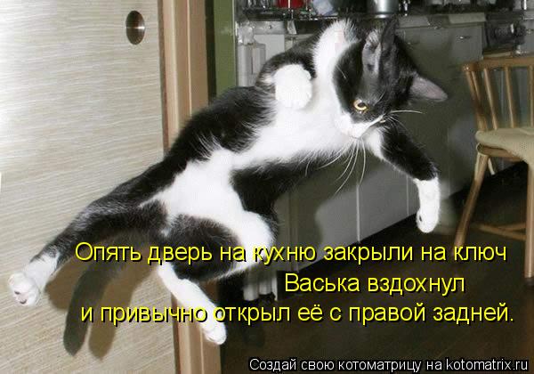 Опять дверь на кухню закрыли на ключ Васька вздохнул и привычно открыл её с правой задней.... Котоматрица: Опять дверь на кухню закрыли на ключ Васька вздохнул и привычно открыл её с правой задней.