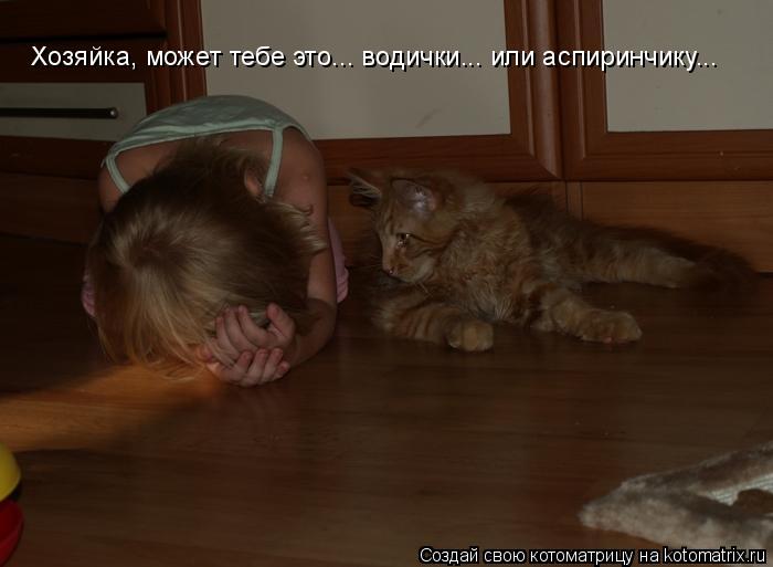 Котоматрица: Хозяйка, может тебе это... водички... или аспиринчику...